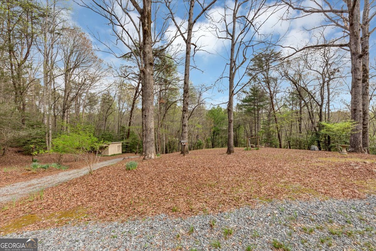 18 Goldmine Road Ellijay - 34