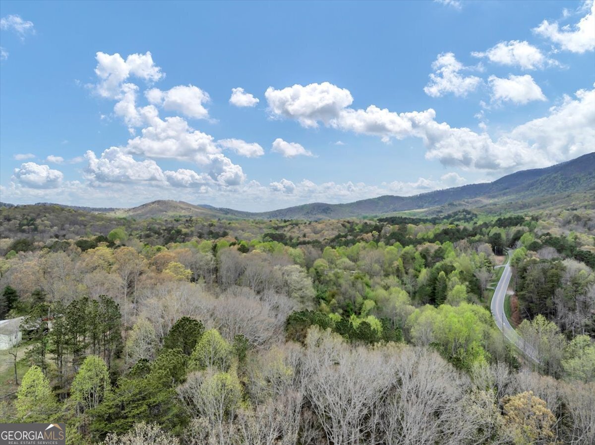 18 Goldmine Road Ellijay - 37