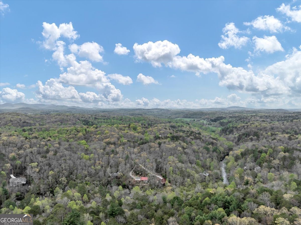 18 Goldmine Road Ellijay - 39