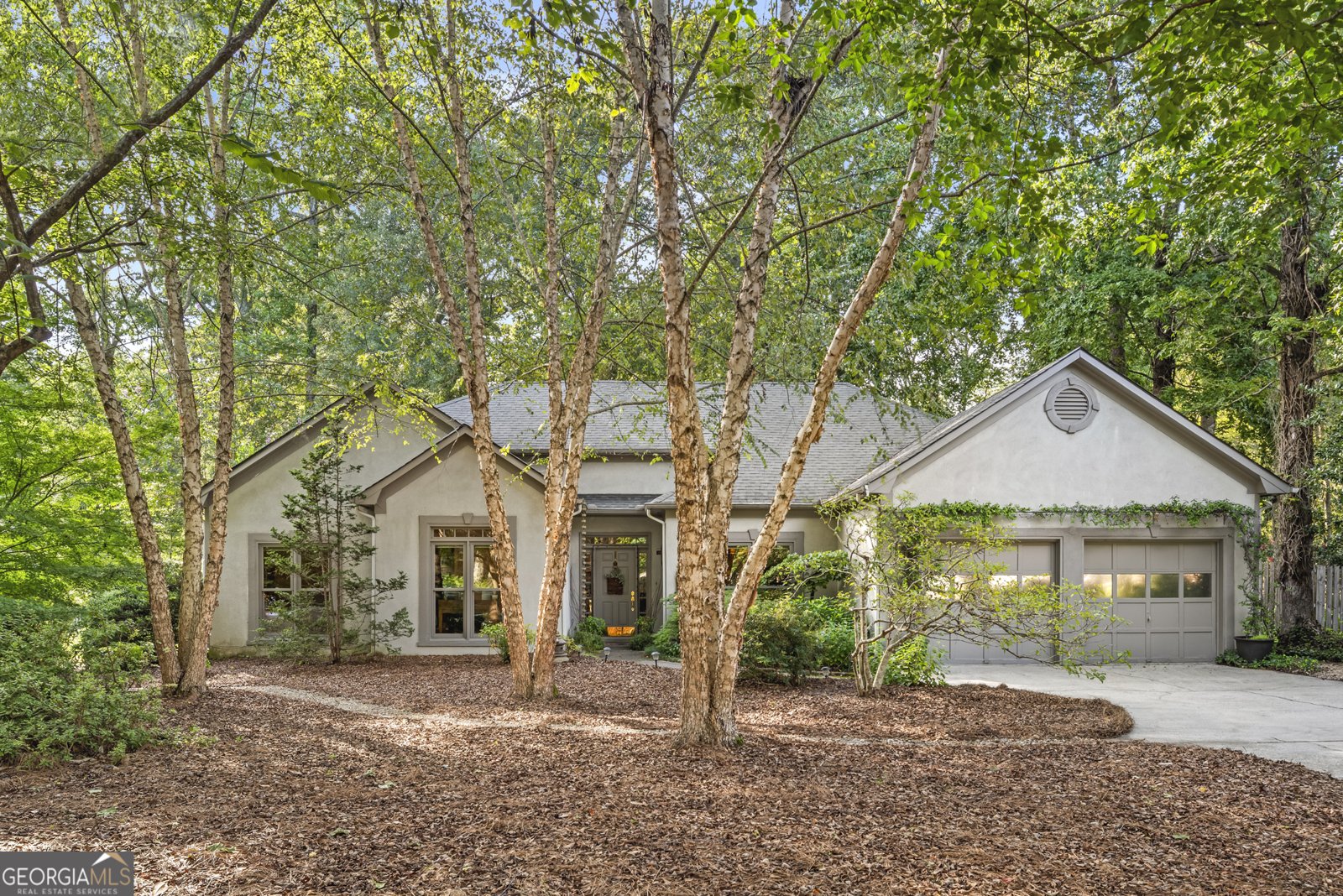 224 Felspar Ridge Peachtree City - 1
