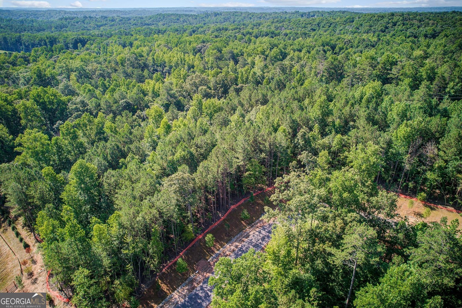 117 Laurel Brook Lane Canton - 11