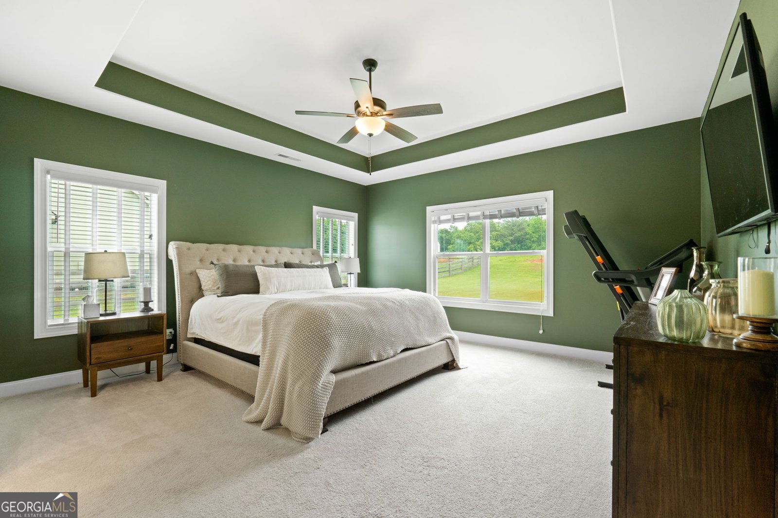 376 Linch Road Senoia - 15