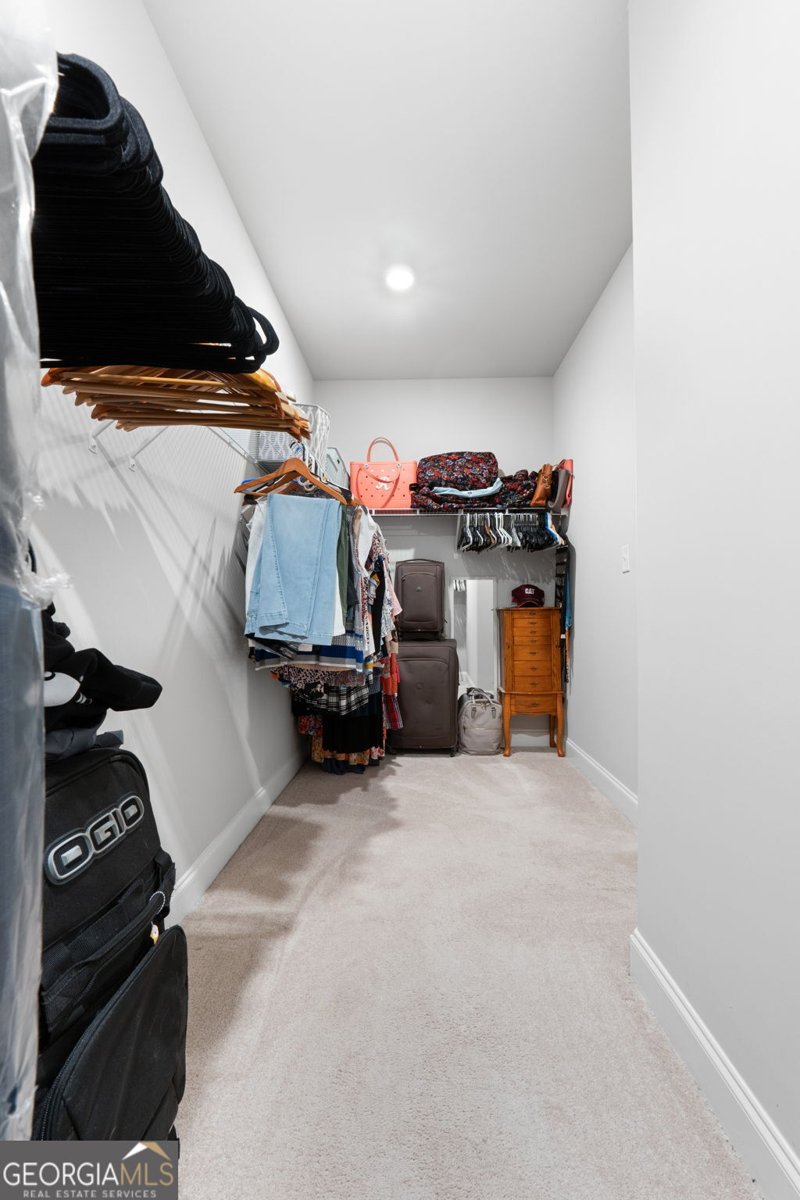 376 Linch Road Senoia - 21
