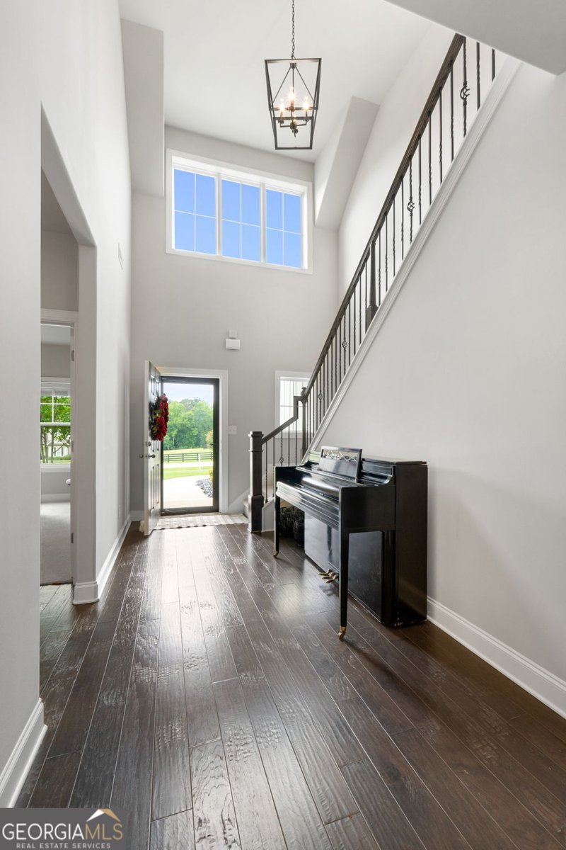 376 Linch Road Senoia - 4