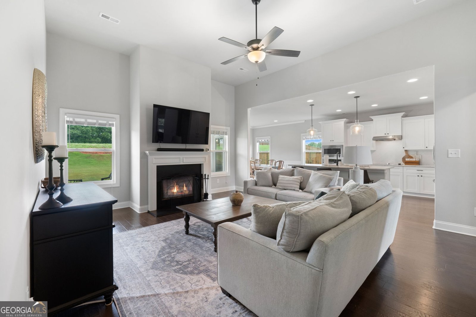 376 Linch Road Senoia - 6