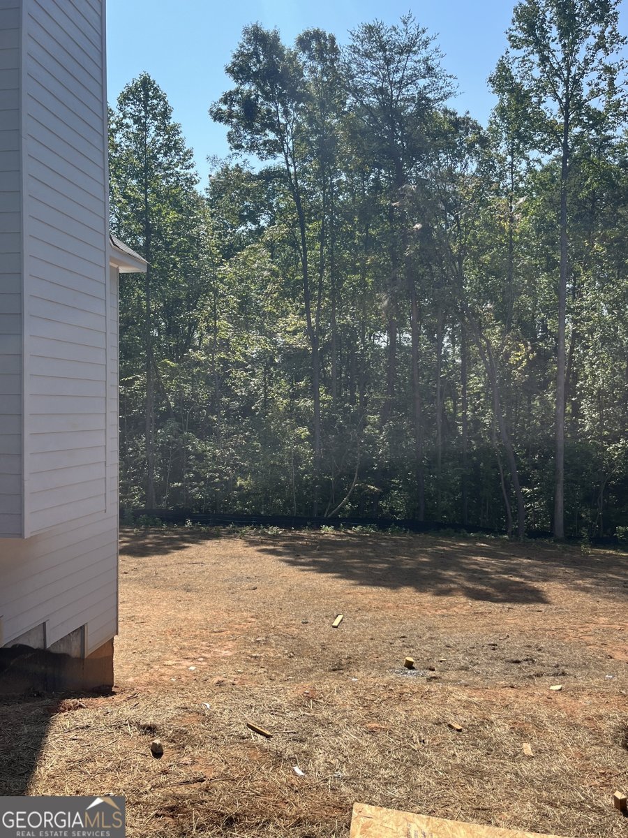 323 Grey Swan Way Dawsonville - 2