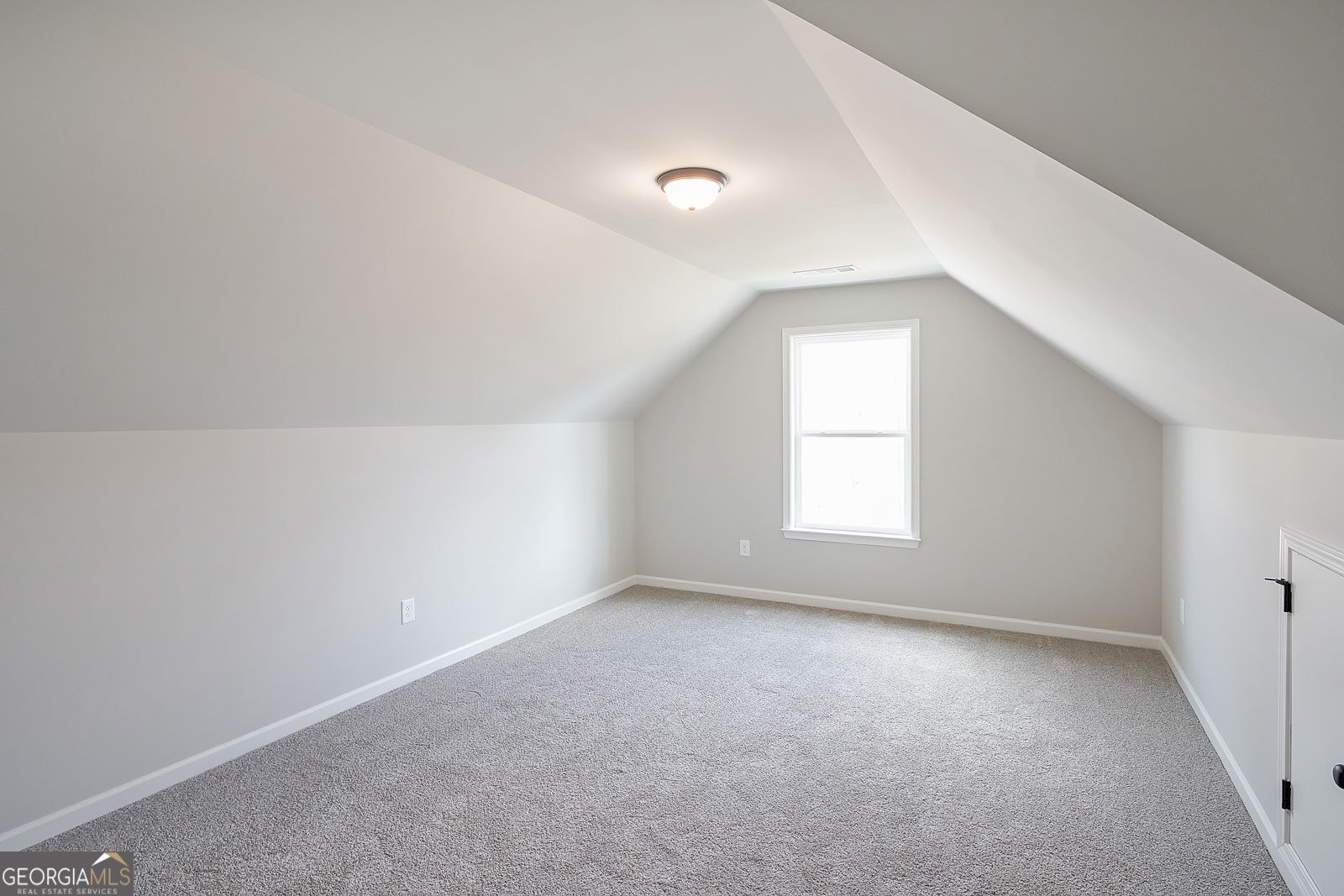 323 Grey Swan Way Dawsonville - 38