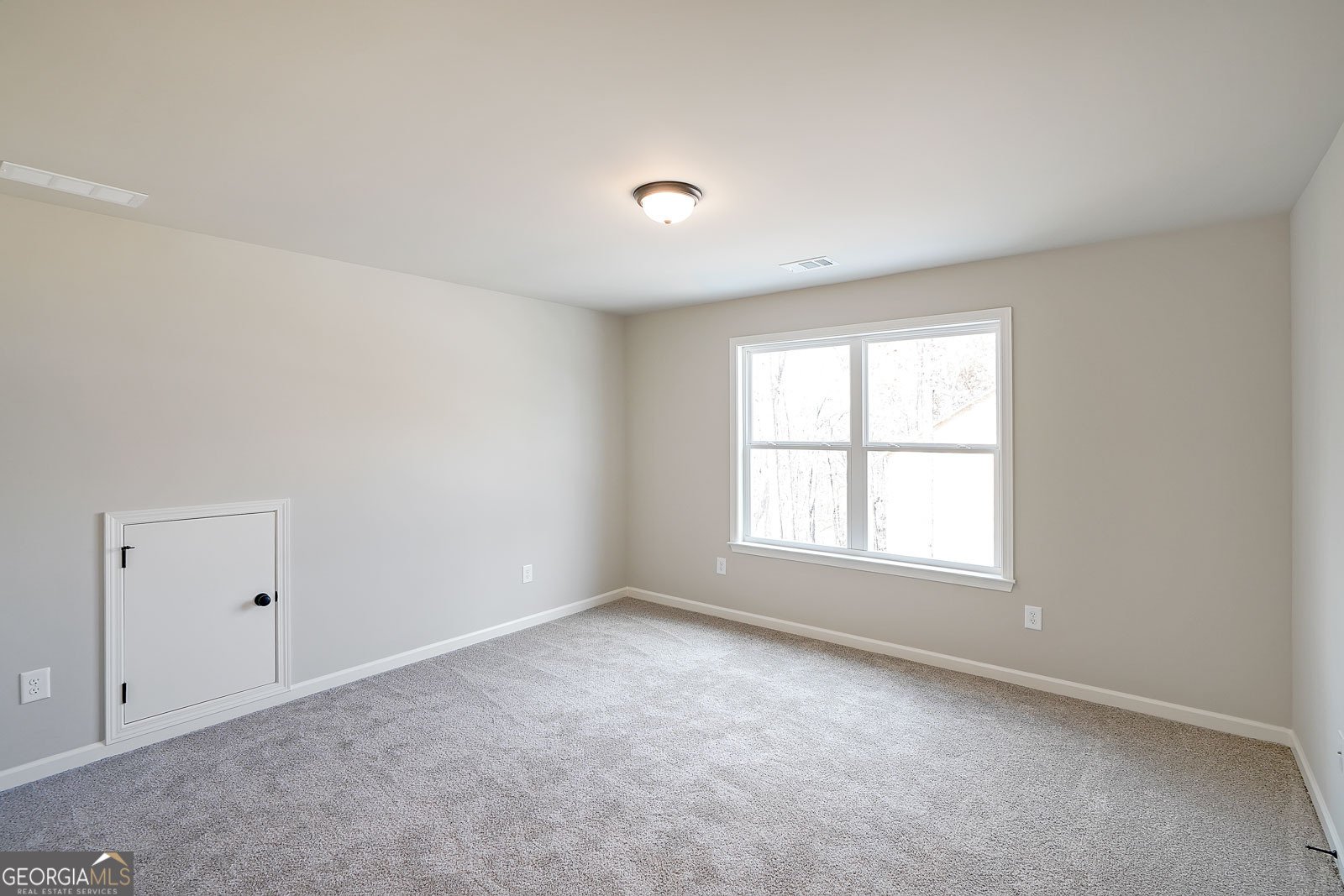 323 Grey Swan Way Dawsonville - 39
