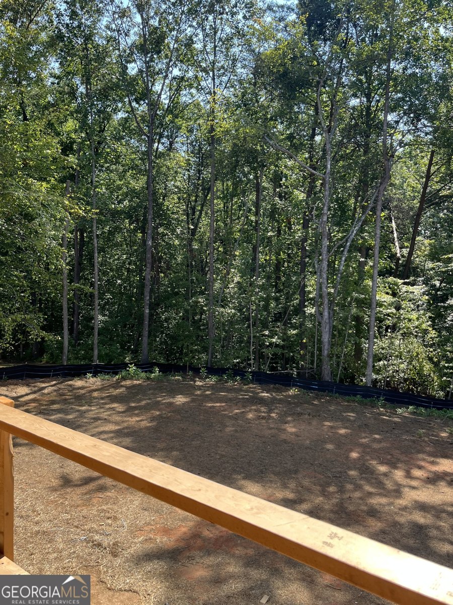 323 Grey Swan Way Dawsonville - 5