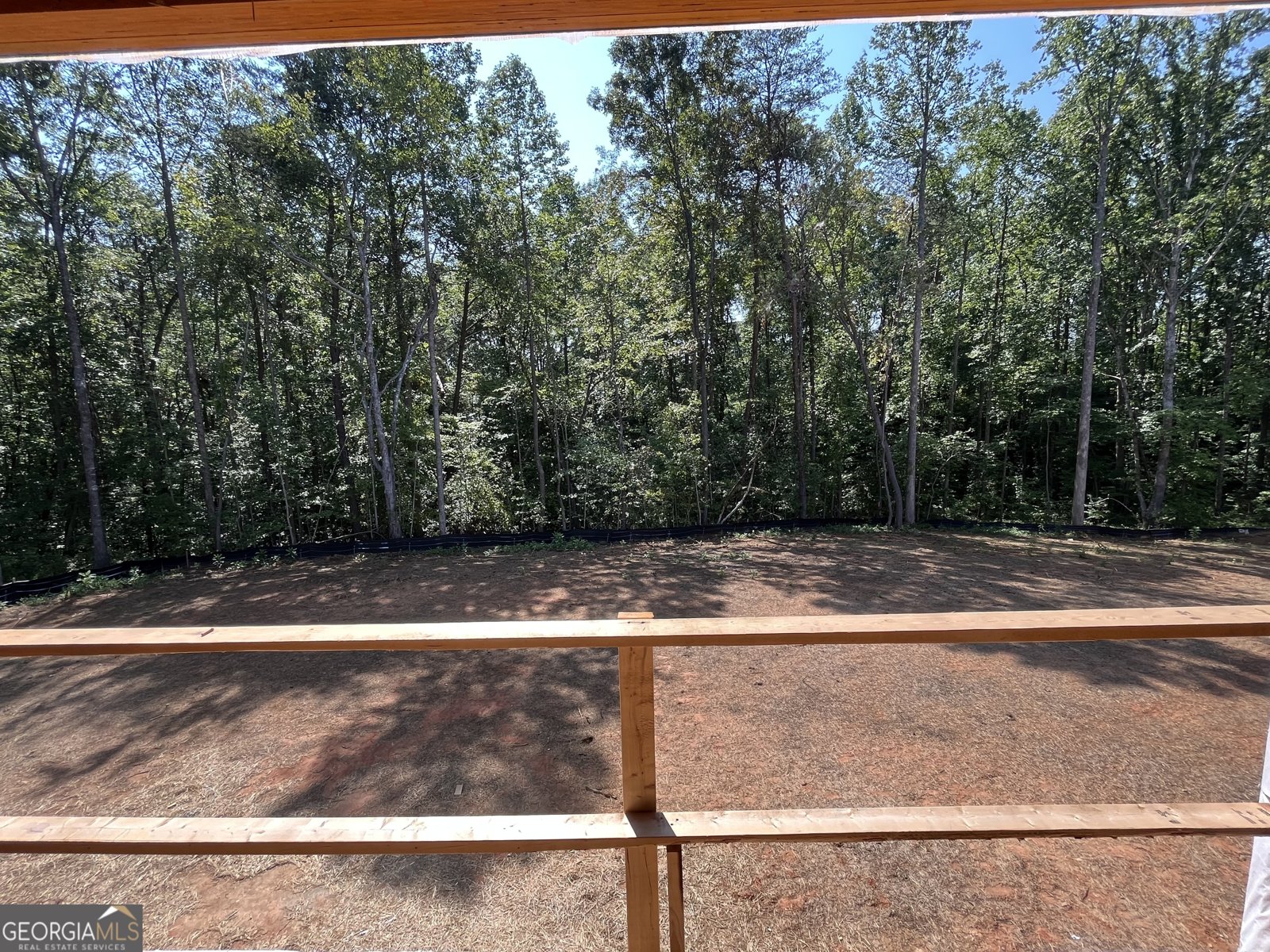 323 Grey Swan Way Dawsonville - 6