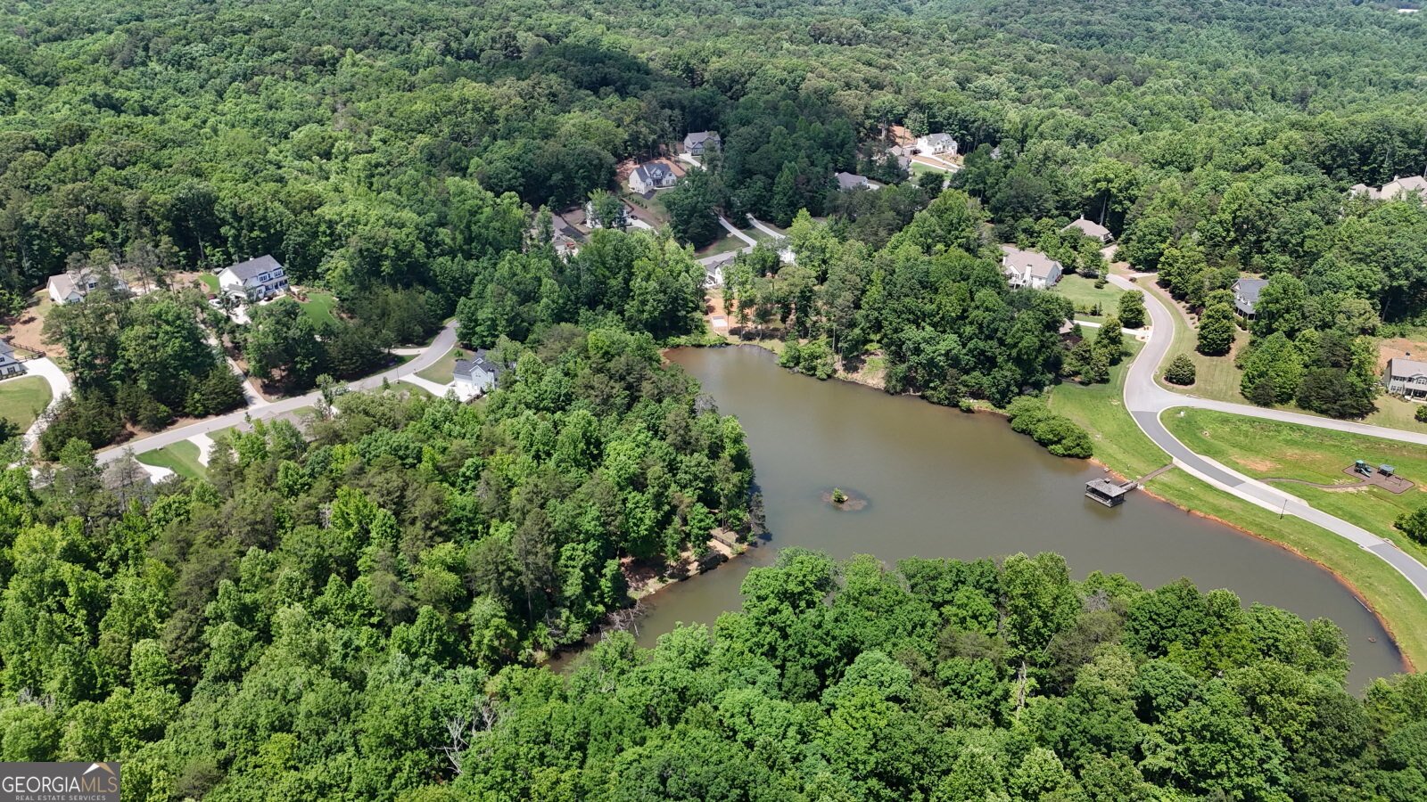 323 Grey Swan Way Dawsonville - 9