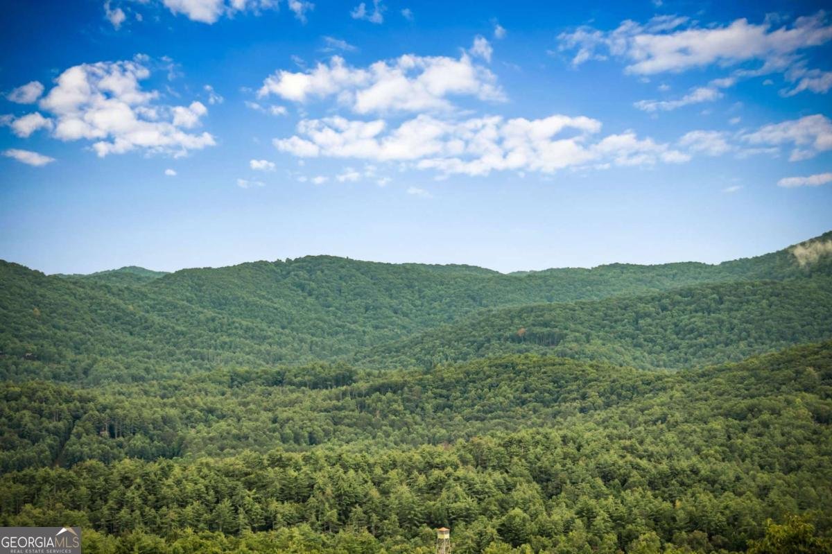 463 Big Sky Trail Epworth - 29