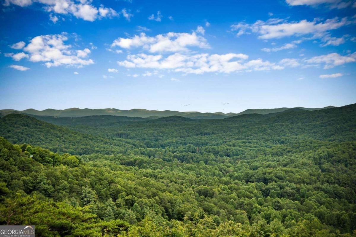 463 Big Sky Trail Epworth - 31