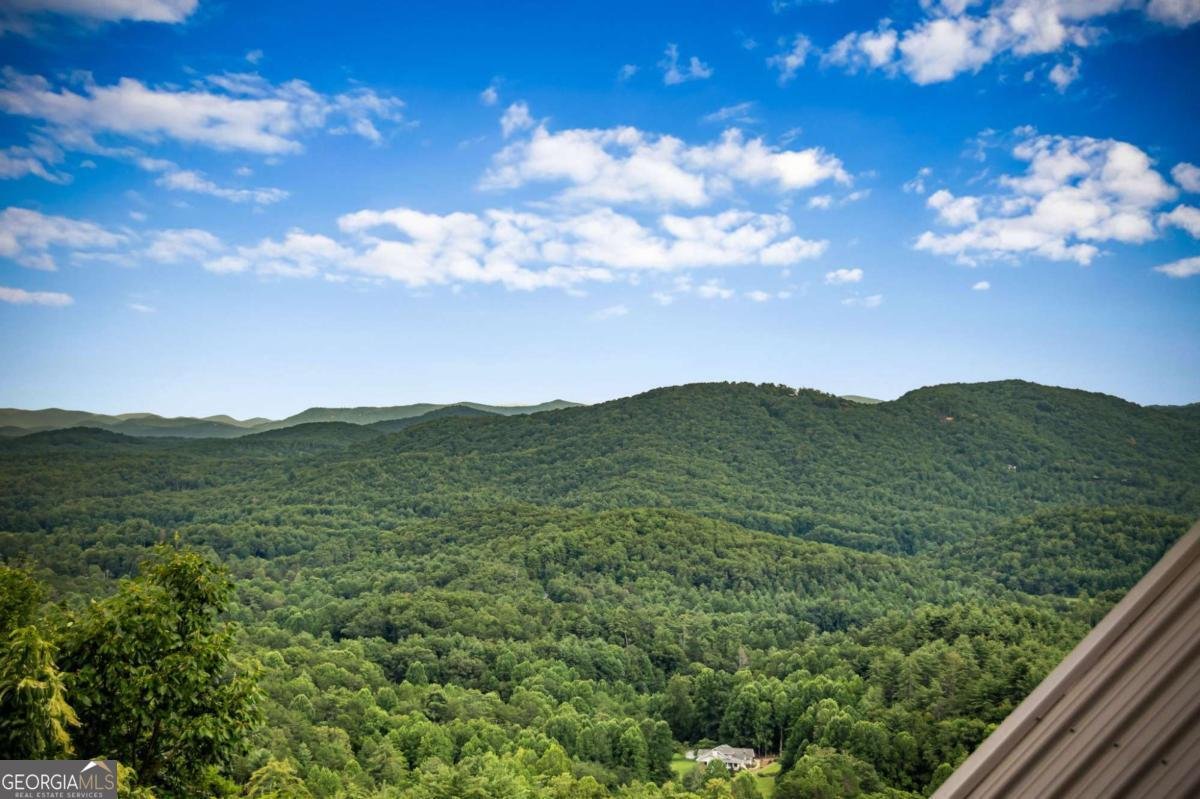 463 Big Sky Trail Epworth - 61