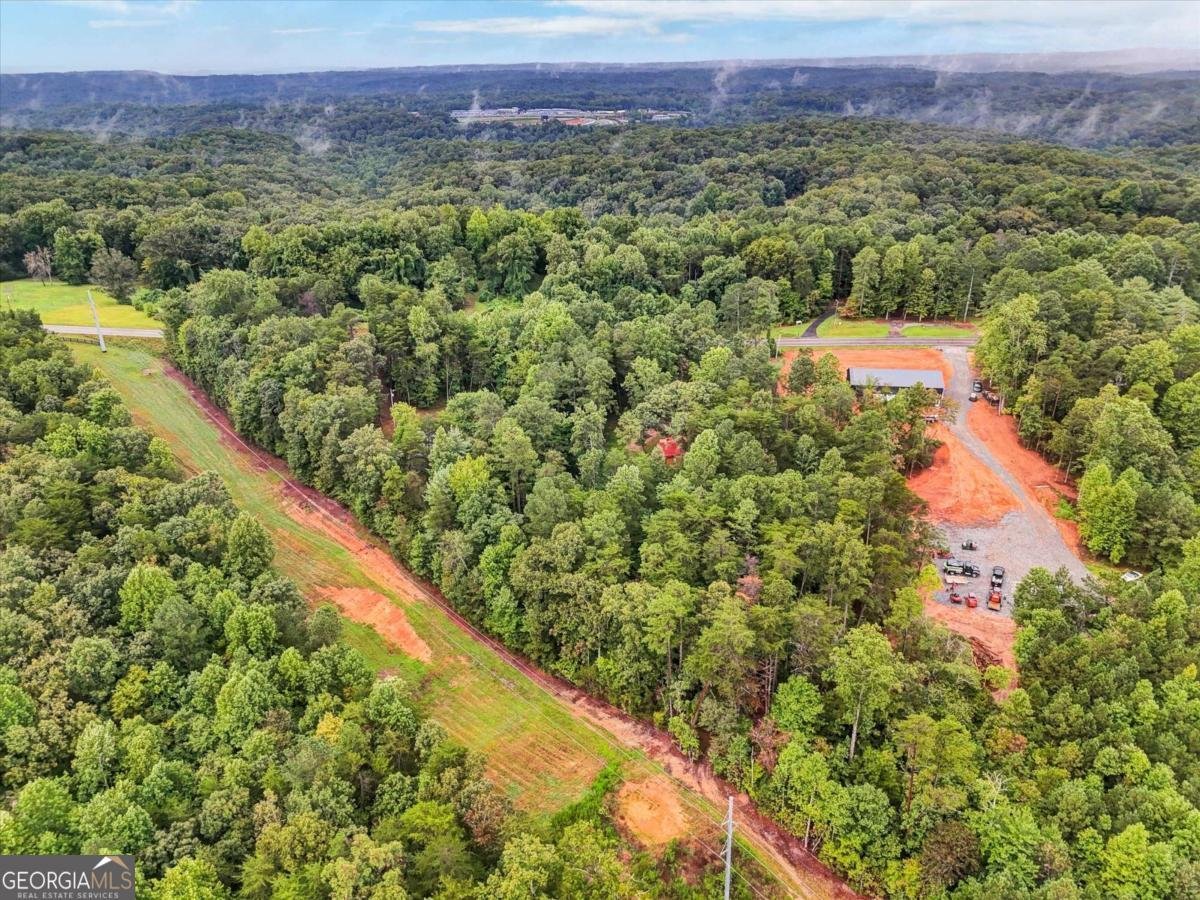 1398 Elliott Family Parkway Dawsonville - 14