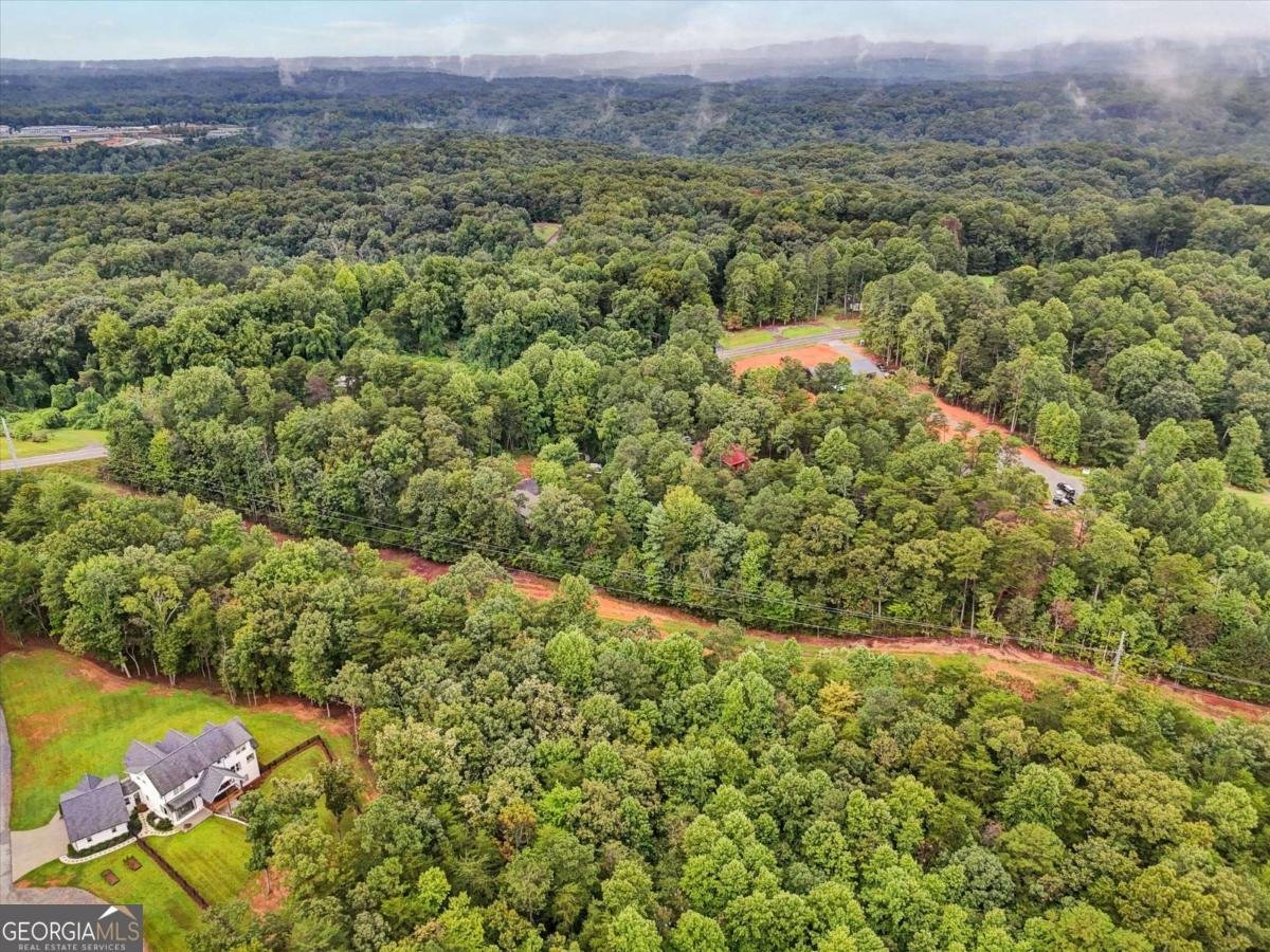 1398 Elliott Family Parkway Dawsonville - 16