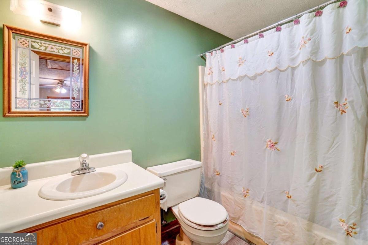 1398 Elliott Family Parkway Dawsonville - 19