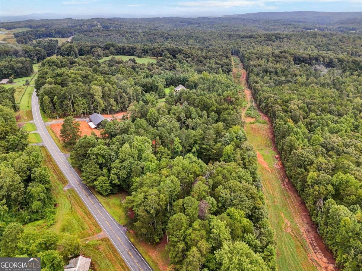 1398 Elliott Family Parkway Dawsonville - 26