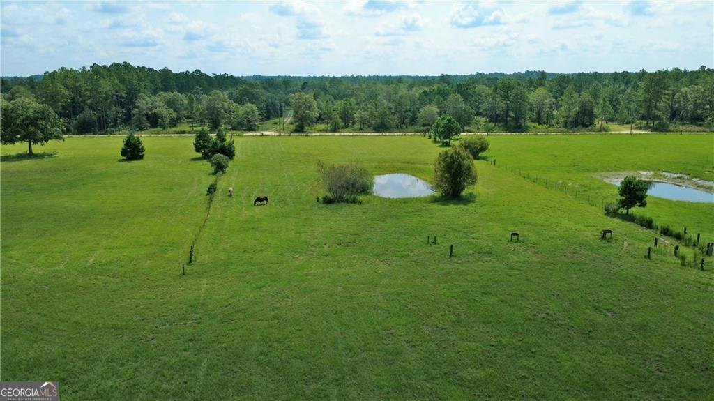 91 Cane Circle Nahunta - 11