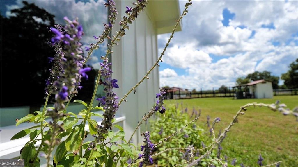 91 Cane Circle Nahunta - 12