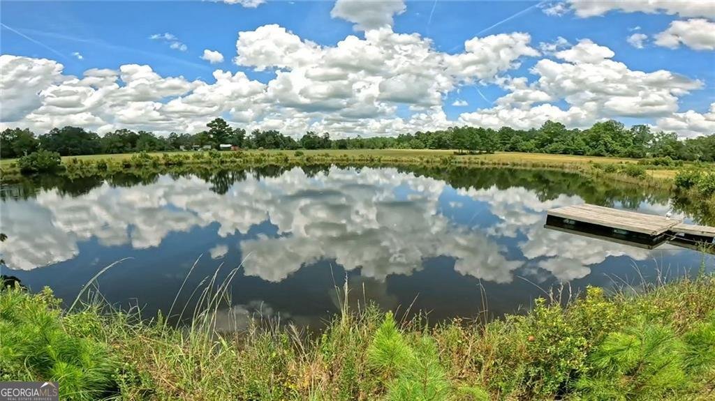 91 Cane Circle Nahunta - 3