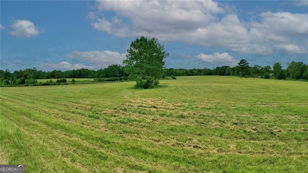 91 Cane Circle Nahunta - 57