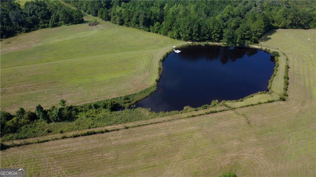 91 Cane Circle Nahunta - 58