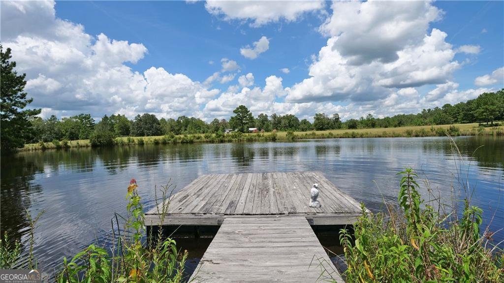 91 Cane Circle Nahunta - 59