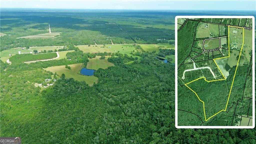 91 Cane Circle Nahunta - 6