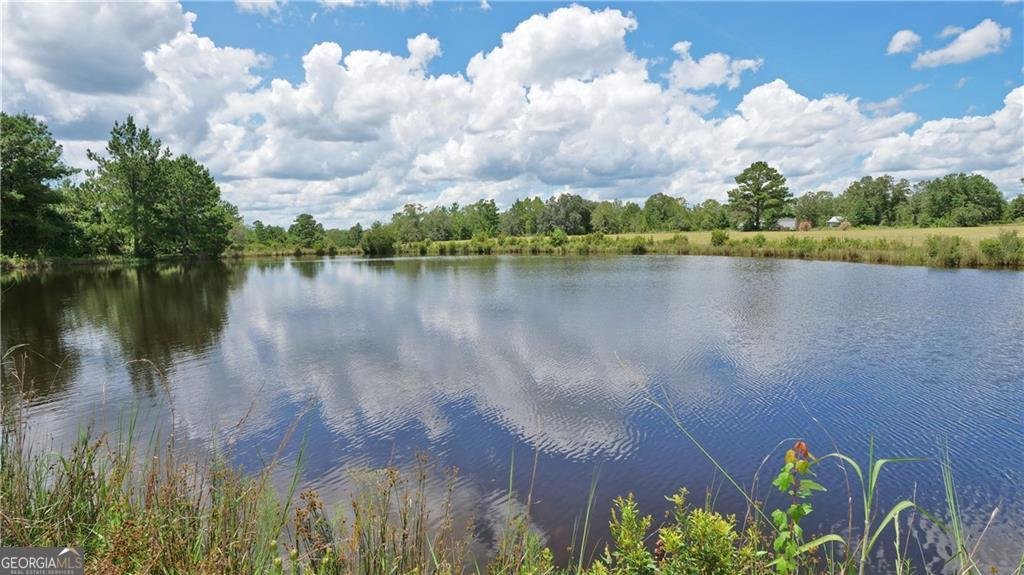 91 Cane Circle Nahunta - 60