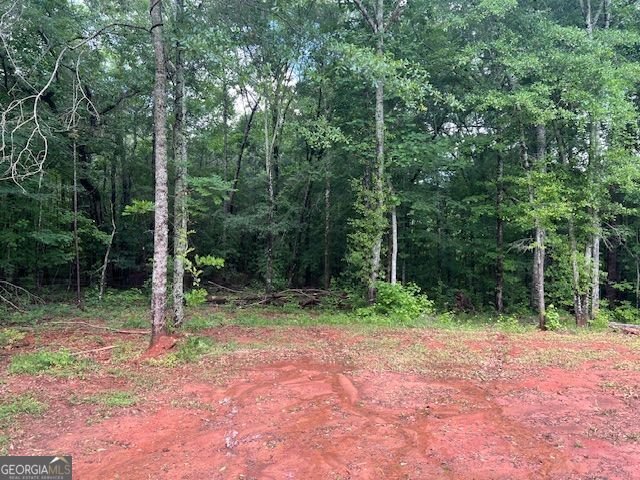 1757 Pineview Road Griffin - 14