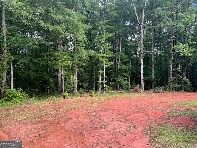1757 Pineview Road Griffin - 15
