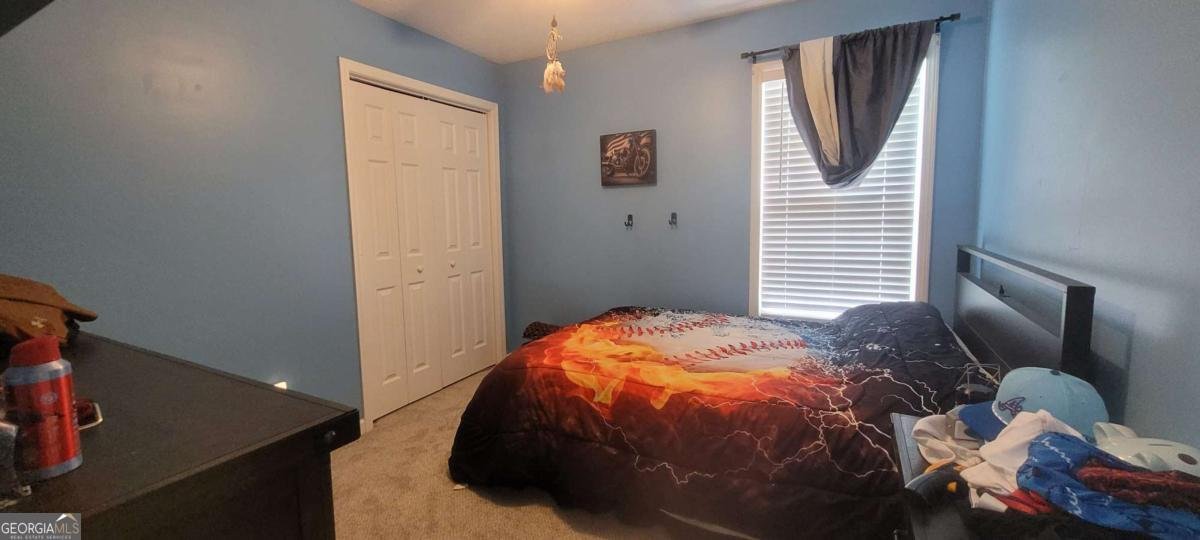 105 Bridle Court Canton - 19