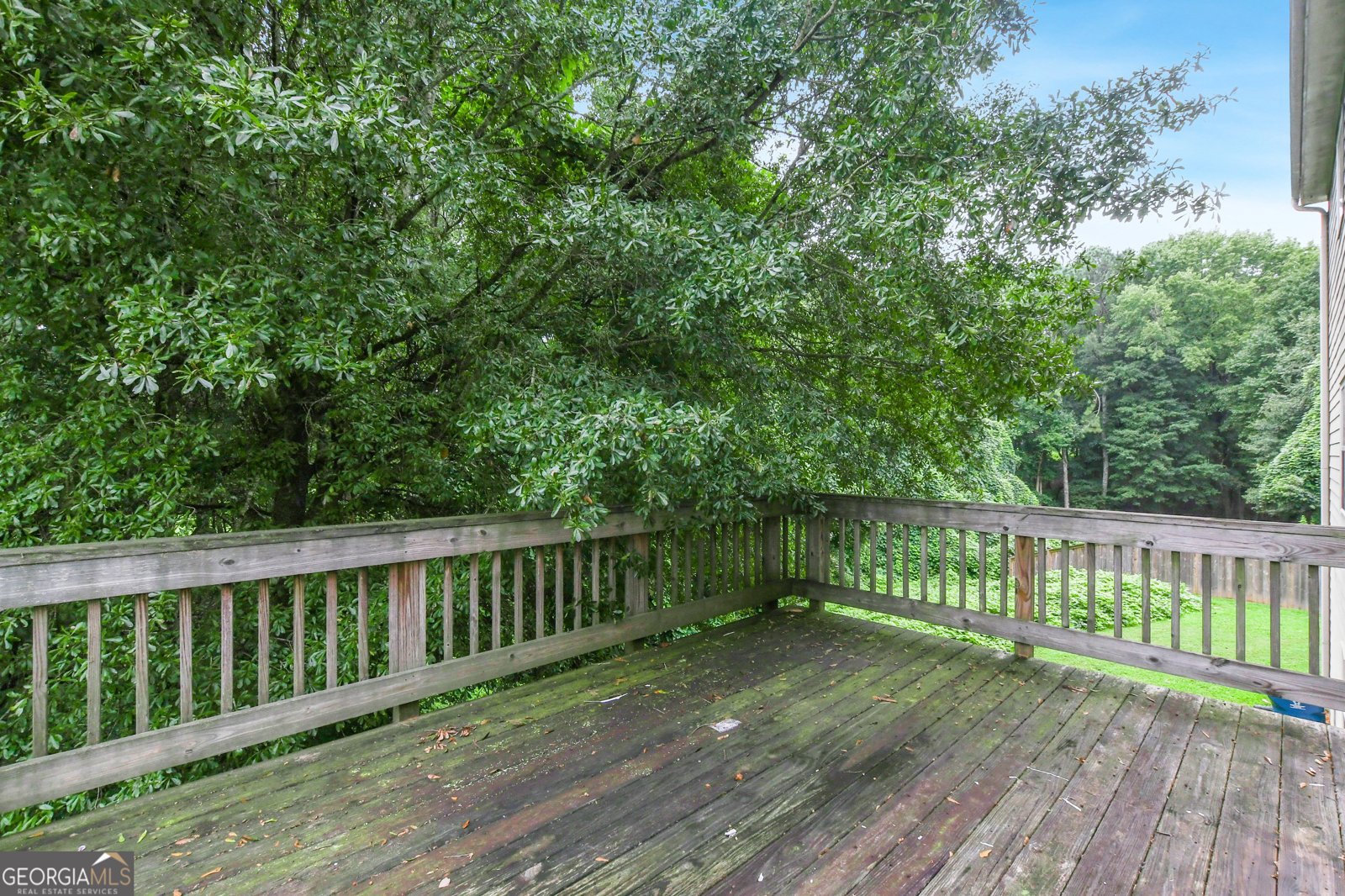 393 Strawberry Walk Loganville - 15