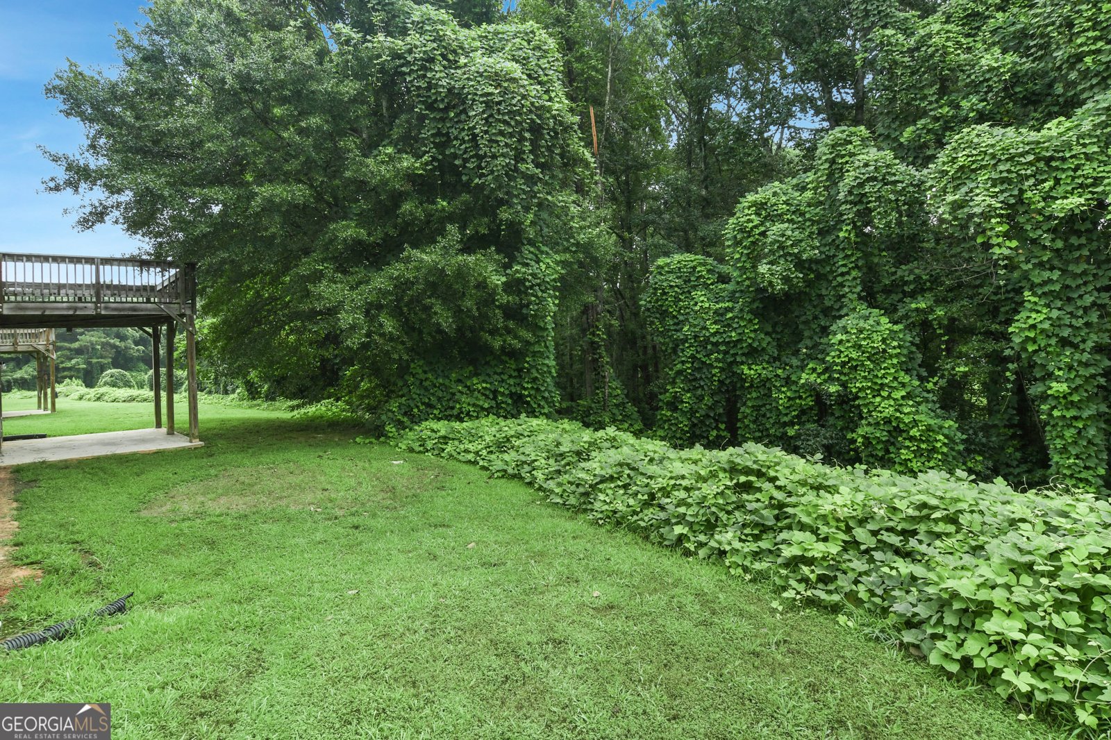 393 Strawberry Walk Loganville - 24