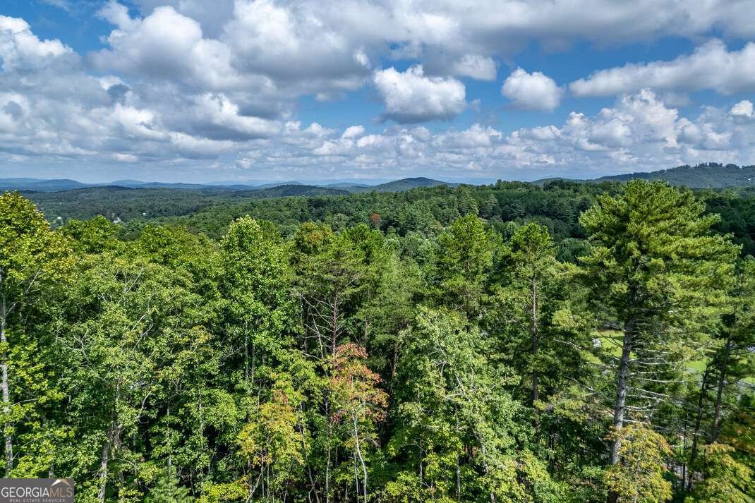63 Lance Crossing Road Blairsville - 70