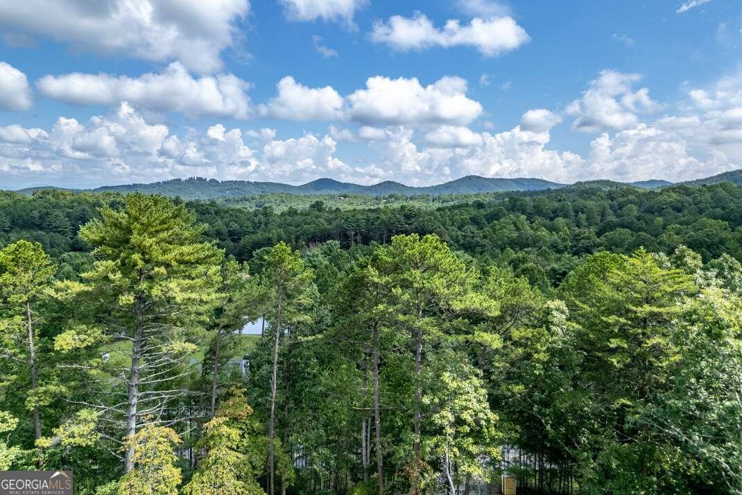 63 Lance Crossing Road Blairsville - 71