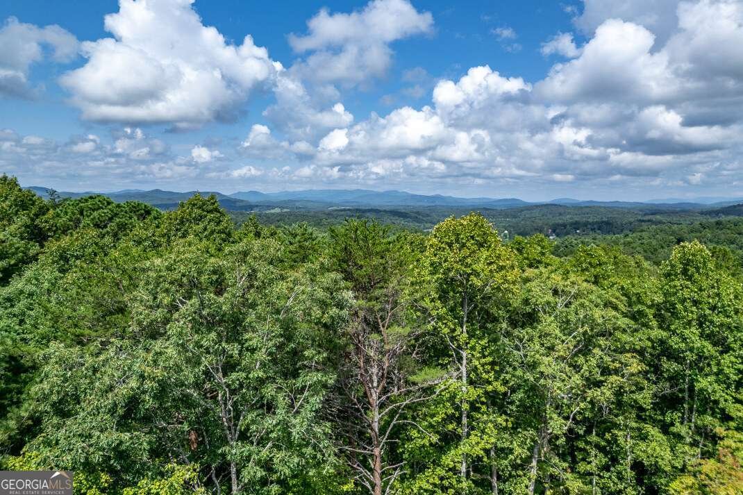 63 Lance Crossing Road Blairsville - 72