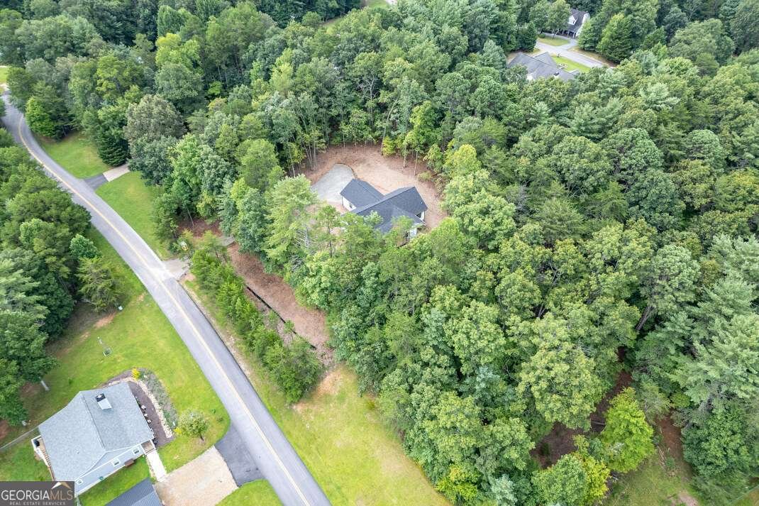63 Lance Crossing Road Blairsville - 77