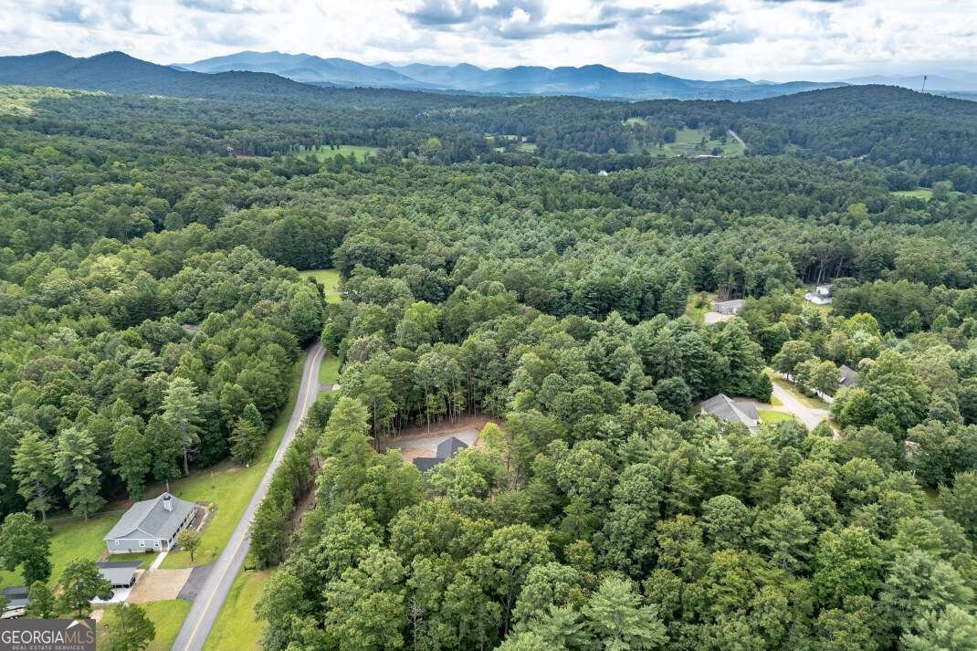 63 Lance Crossing Road Blairsville - 79