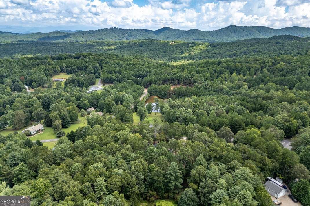63 Lance Crossing Road Blairsville - 80