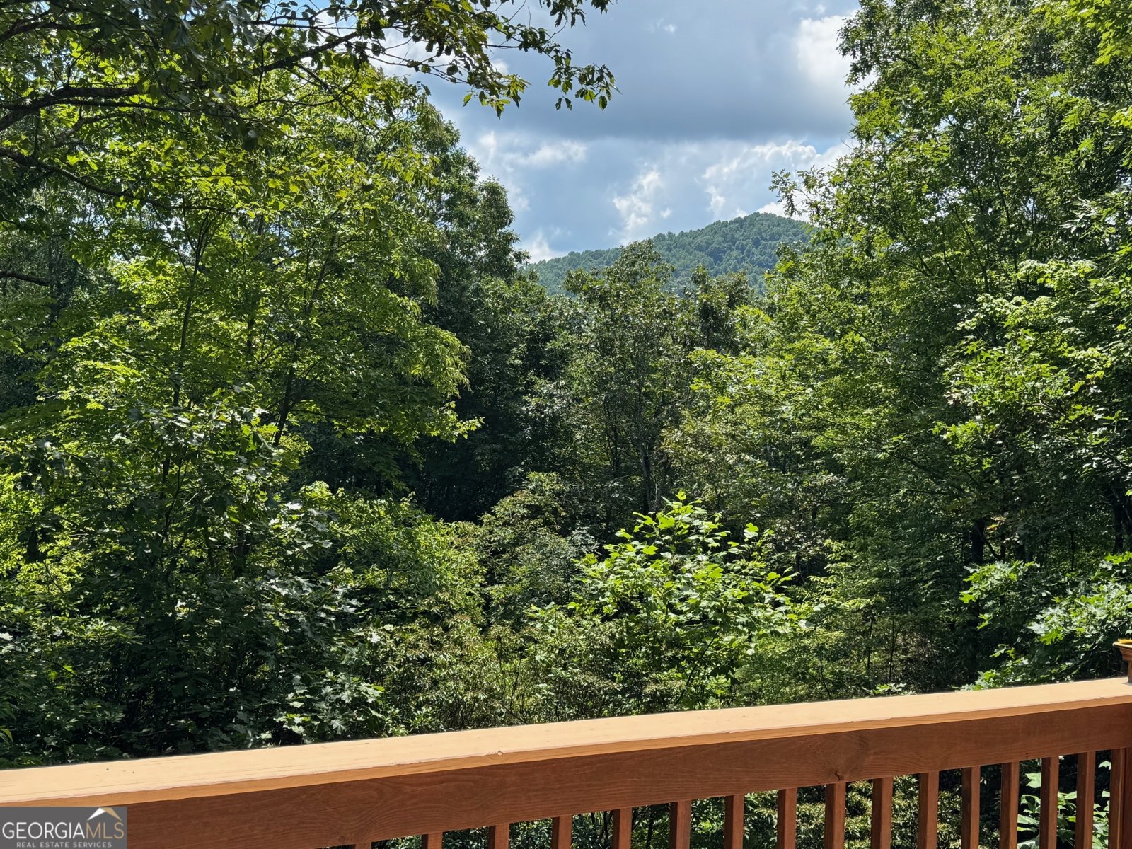 476 Prince Mountain Road Cherry Log - 36