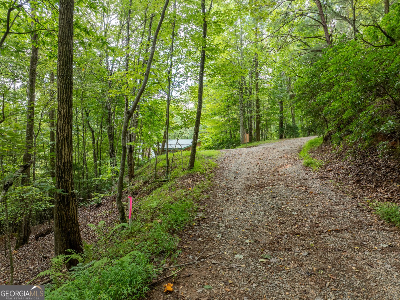 476 Prince Mountain Road Cherry Log - 45