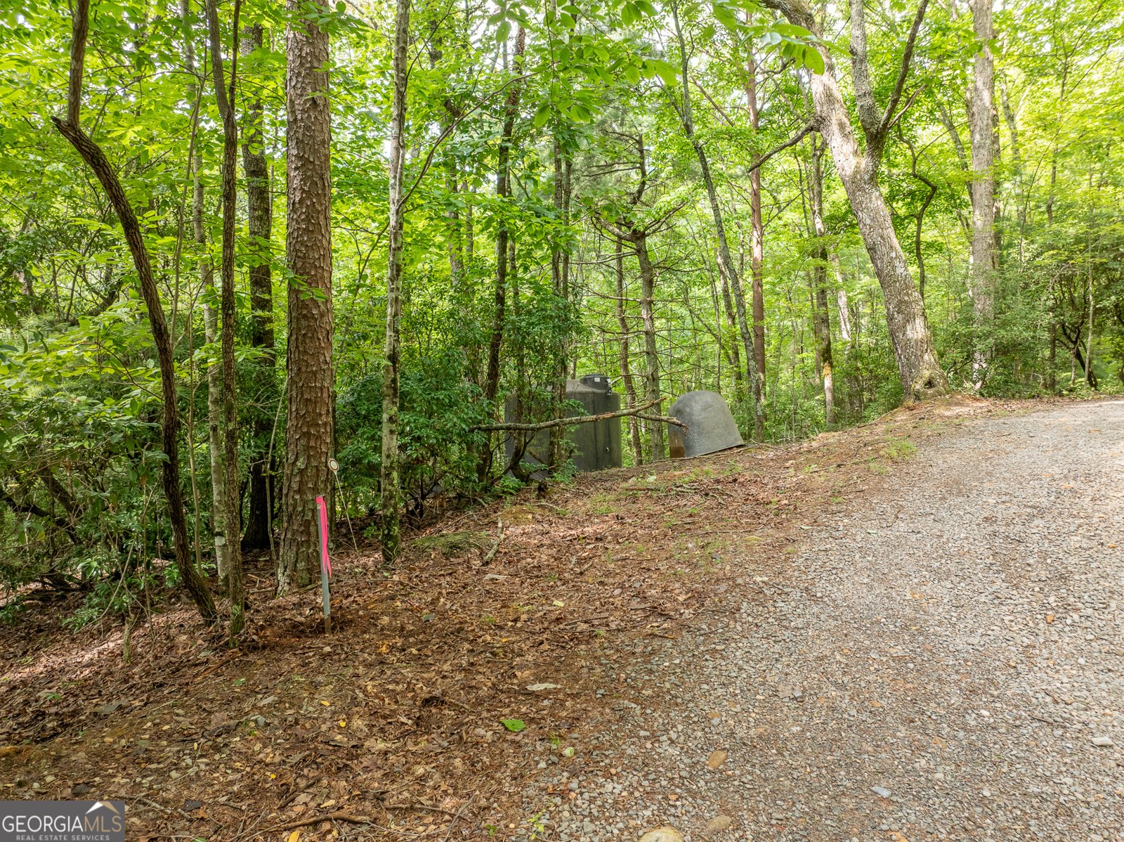 476 Prince Mountain Road Cherry Log - 46