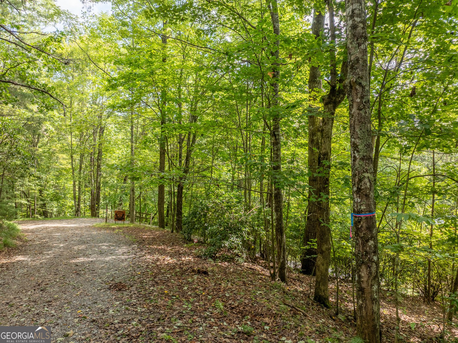476 Prince Mountain Road Cherry Log - 48