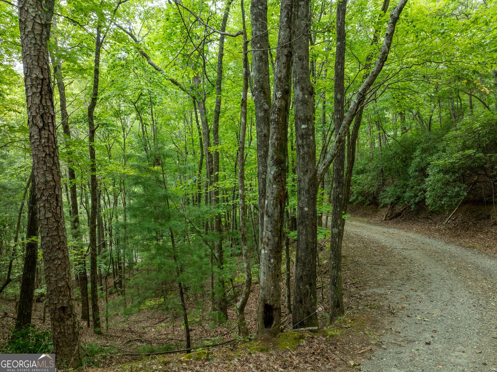 476 Prince Mountain Road Cherry Log - 51