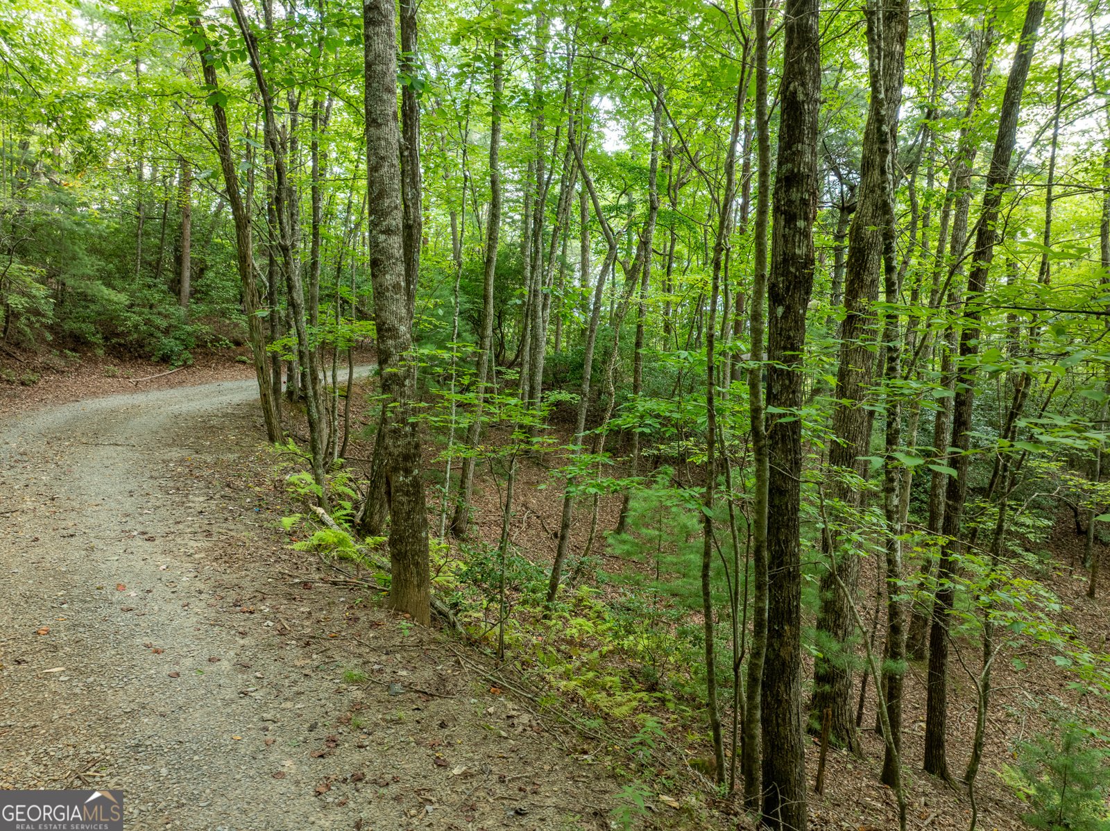 476 Prince Mountain Road Cherry Log - 54