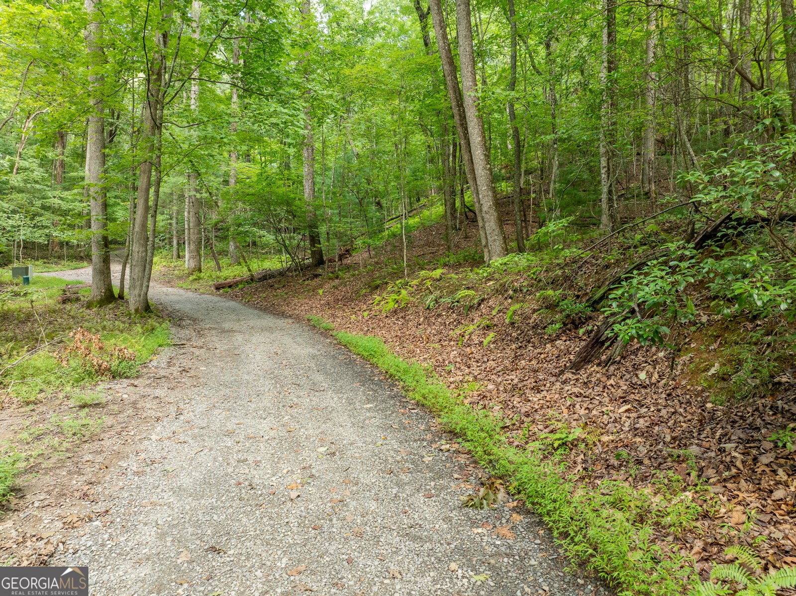 476 Prince Mountain Road Cherry Log - 56