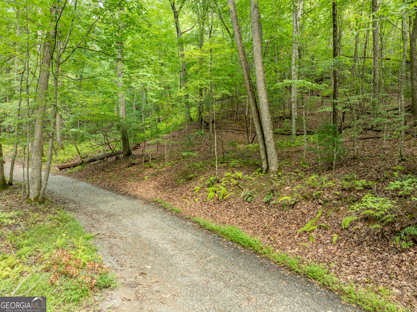 476 Prince Mountain Road Cherry Log - 57