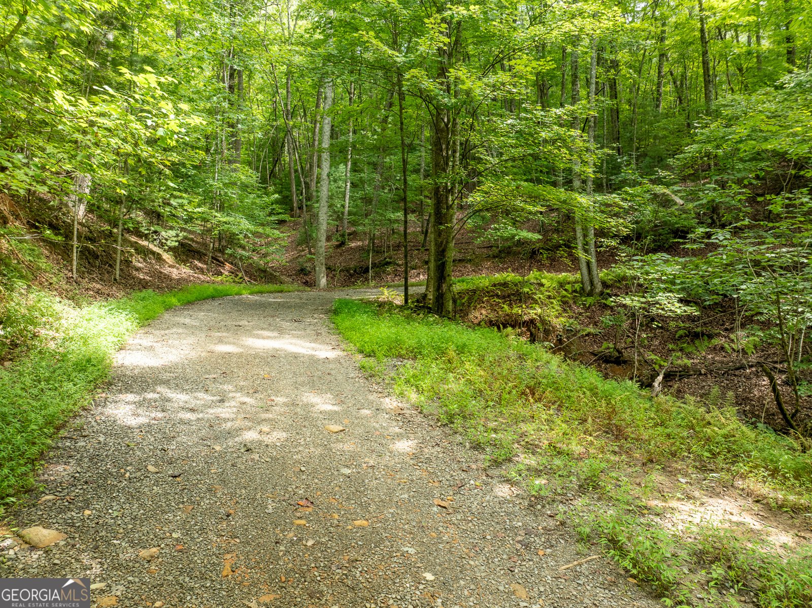 476 Prince Mountain Road Cherry Log - 59